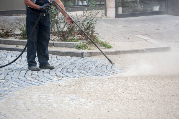 Best Gutter Cleaning  in Seminole Manor, FL